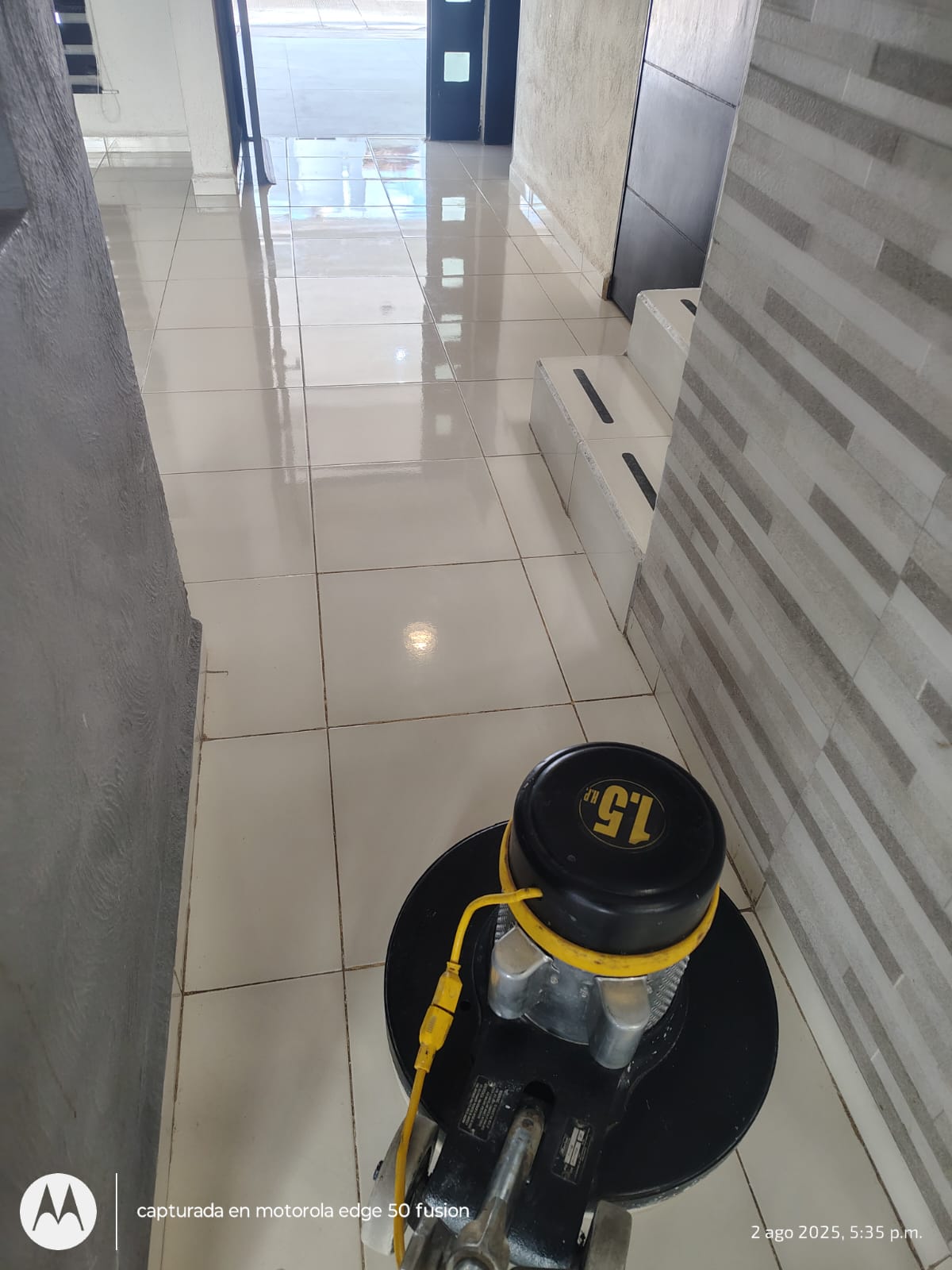 Proceso de vibrado profesional de concreto en nave industrial León - Proyecto 77 RRF