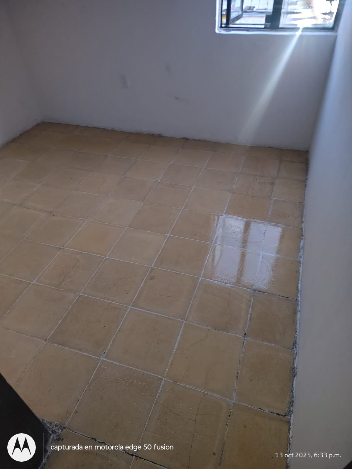 Acabado barrido antiderrapante en bodega industrial León Guanajuato - Proyecto 88 RRF