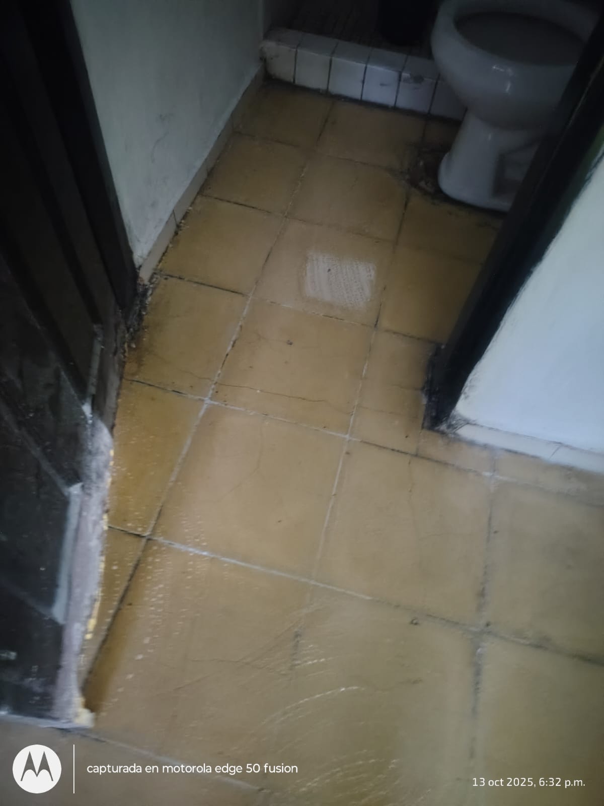 Proceso de vibrado profesional de concreto en nave industrial León - Proyecto 89 RRF